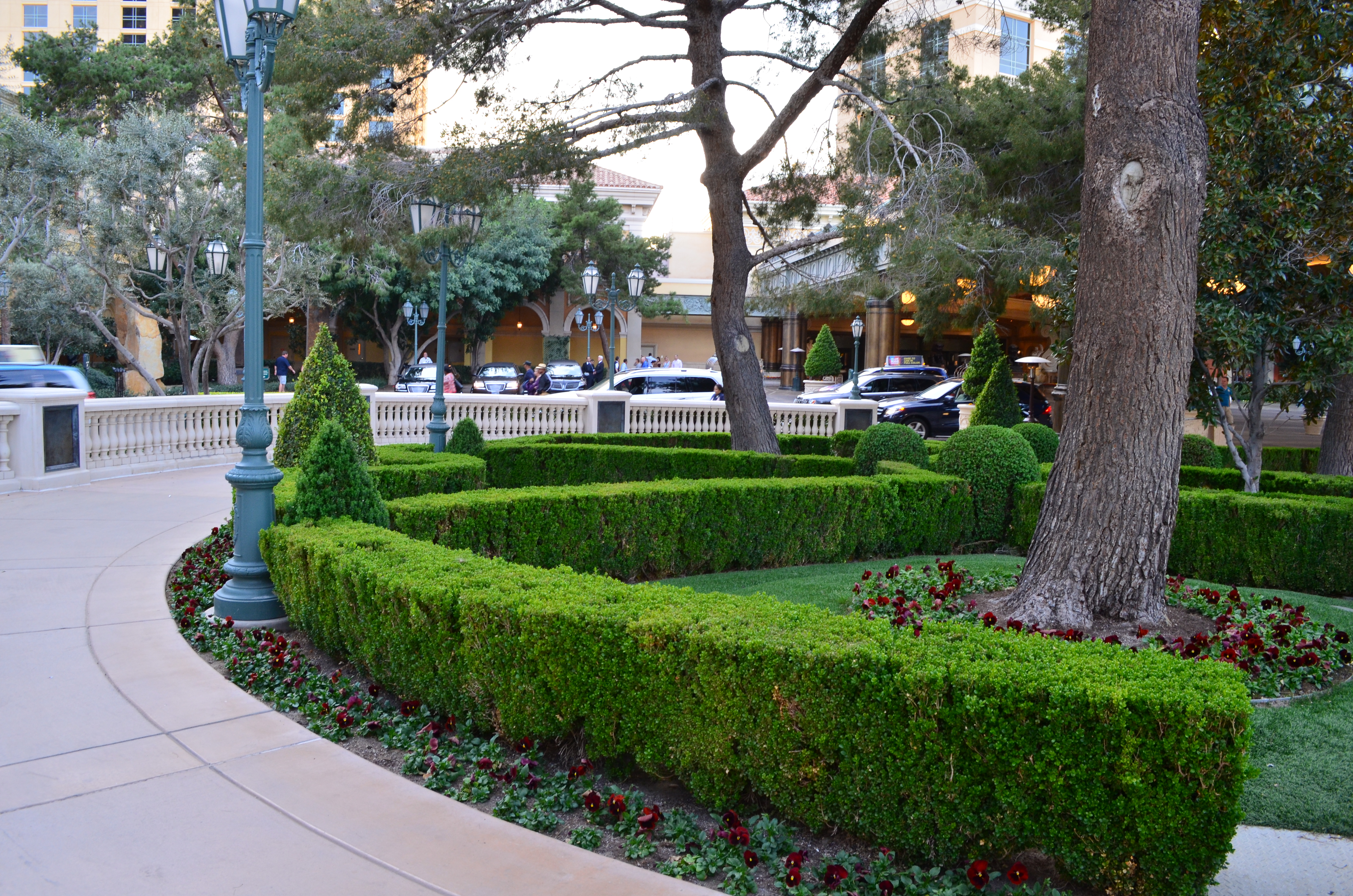 ./2016/04 - Las Vegas/Miscellaneous/DSC_0513.JPG